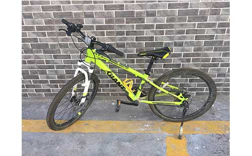 青海湖西海镇自行车租赁（捷安特童车）车型