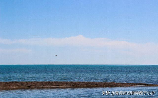 环青海湖骑行攻略，超详细！