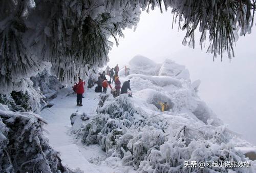 张看手机走天下(22)衡山观雪去薄雪厚霜,冰花玉树。