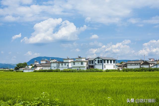 如果只能在三个中选一个,云南,青海,内蒙古,你最想去哪个地方?