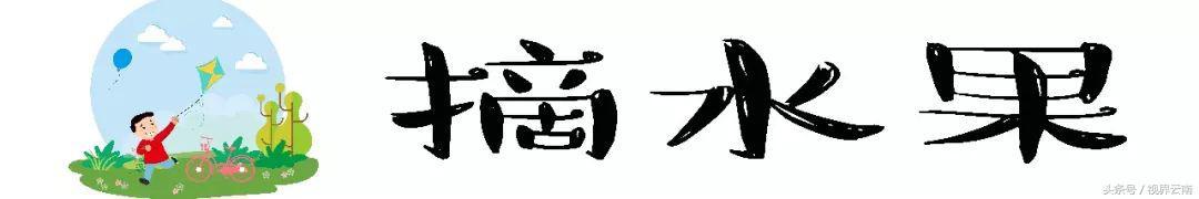 昆明是春游的好地方！露营，爬山...旅游指南这个微信就够了！